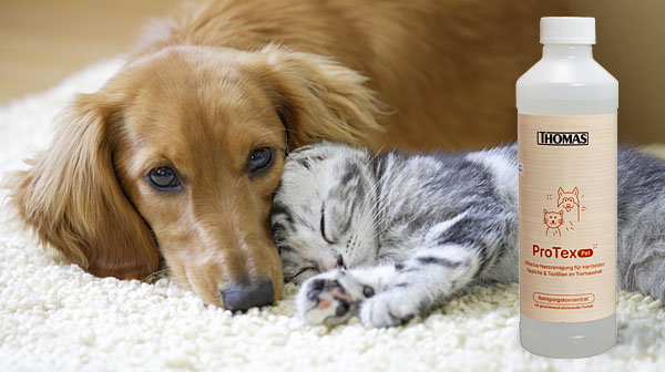 Концентрат для чистки ProTex Pet рядом с собакой и котенком Концентрат для чистки ProTex Pet эффективно удаляет пятна и нейтрализует неприятные запахи